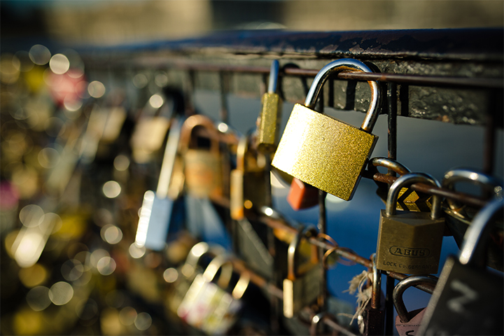 different types of padlocks attached to a bridge